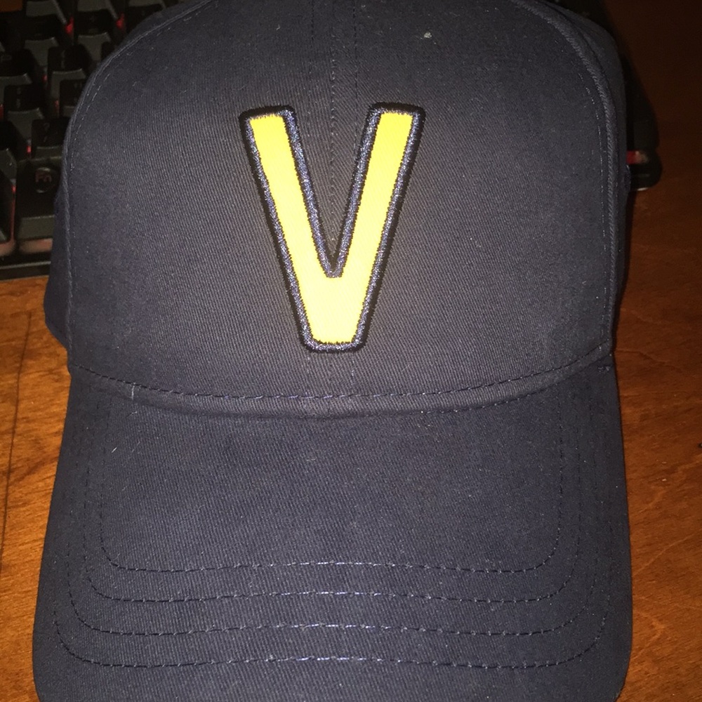 Vans dad hat